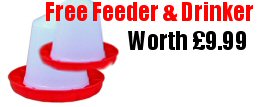freefeeder